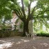 Location Toscane Sienne, Berardo TS03, cour