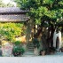 Location Toscane Arezzo, Ambra TA01, maison