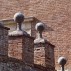 Location Toscane Sienne, Colonna TS03, mur Location Toscane Sienne, Colonna TS03, mur