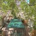Location Toscane Florence, Corno TF02, terrasse 3