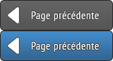 Page pr&eacute;c&eacute;dente